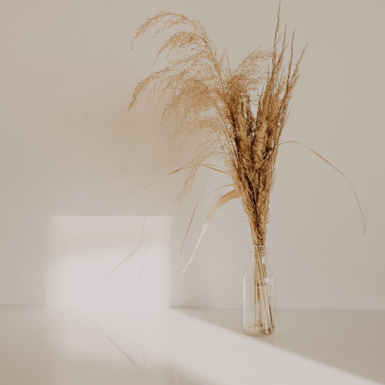 Dried grass in a clear glass vase — modern minimalist home décor