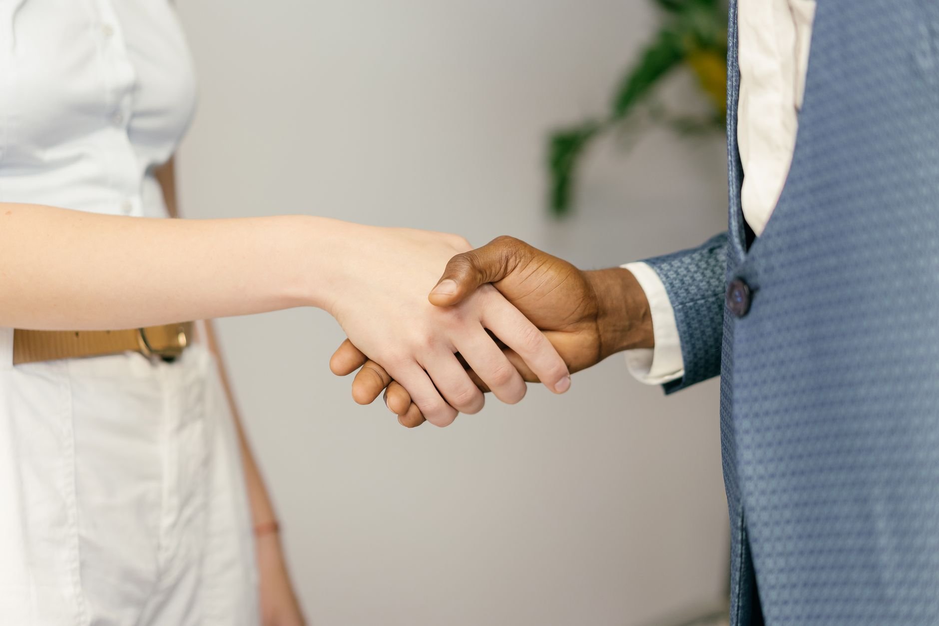 Professional handshake symbolising wholesale partnership